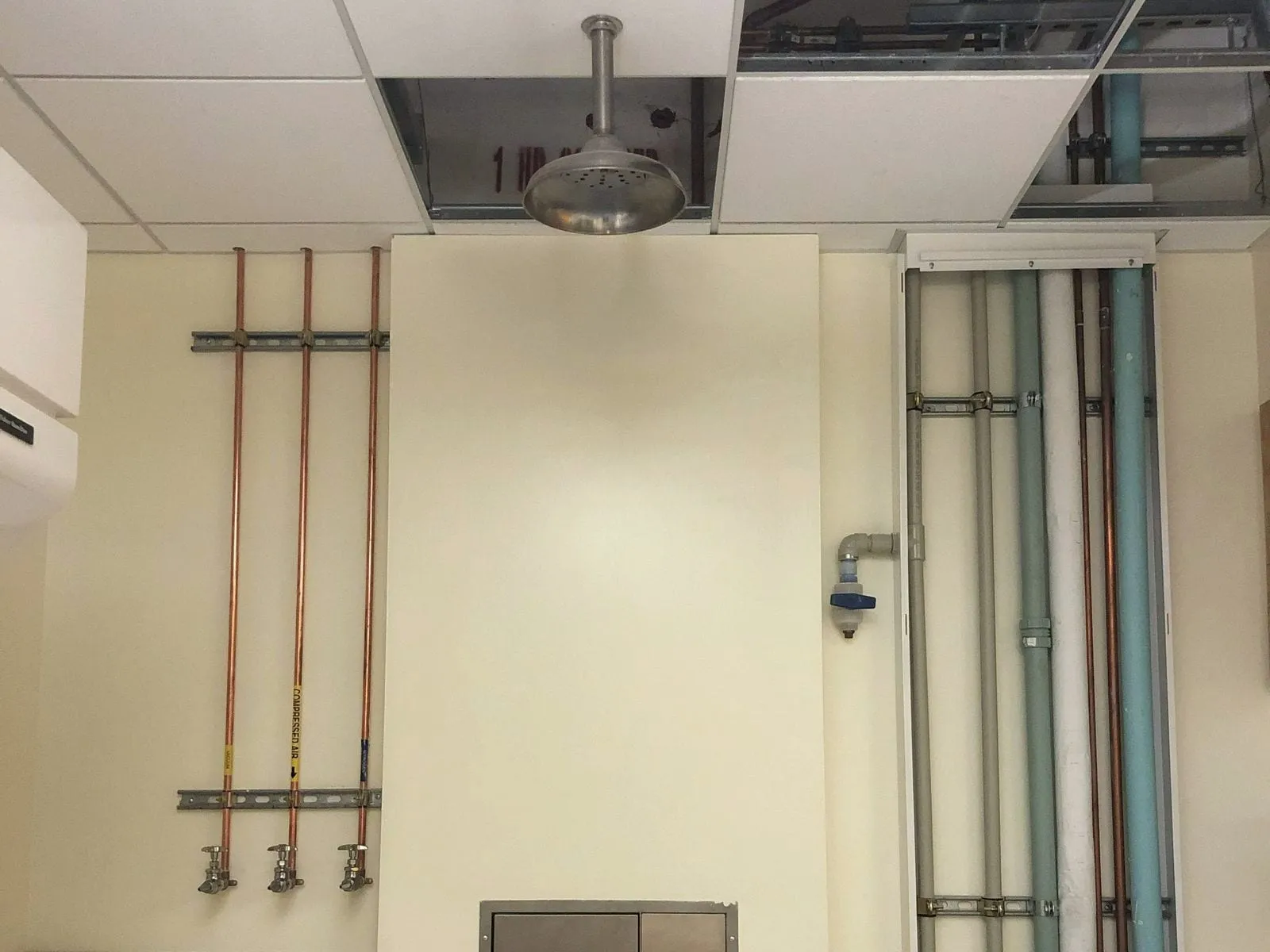 Three labeled copper drops for vacuum, compressed air, and nitrogen on strut, each ending in a valve at bench height, beside a safety shower head and a pipe chase
